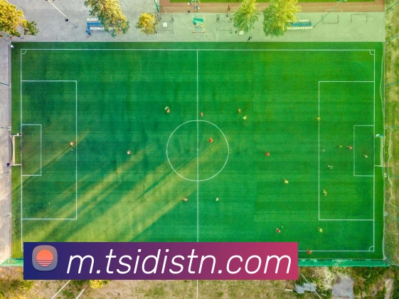 App Interface Preview